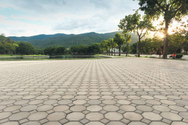 Best Concrete Paver Driveway  in Peachtree City, GA